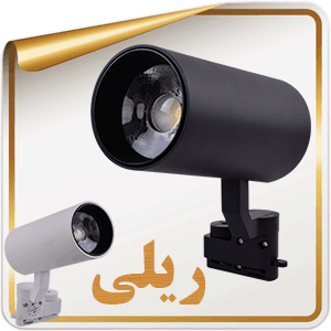ریلی