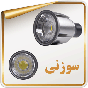 سوزنی